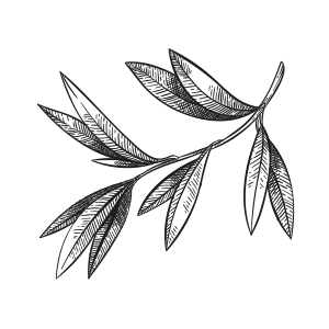 Estratti Vegetali