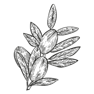 Argan Bio 100% Organico