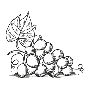 Bucce d’uva biologiche dell’Emilia